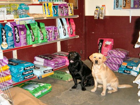 Falls Store Pet Room