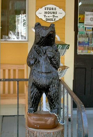 At the Marshfield Village Store