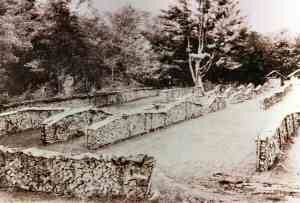 Dan and Whit's Store